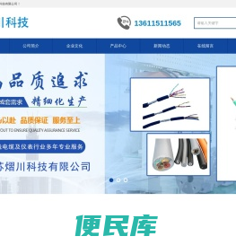 温度仪表