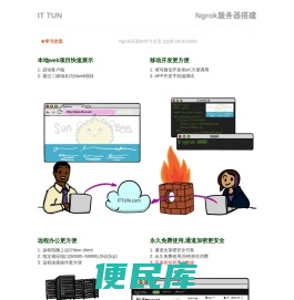 ngrok国内服务器
