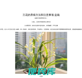 老玩家应用商店
