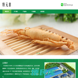 特元素品牌官网
