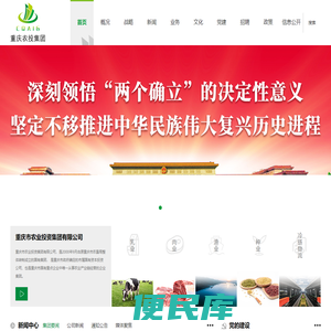 重庆市农业投资集团有限公司