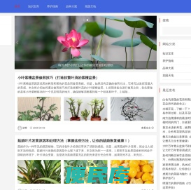 花韵之窗