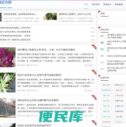 繁趣花卉网