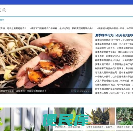 虎皮兰