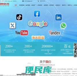 淄博网泰