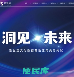 深圳派富文化数据有限公司