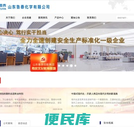 山东鲁泰化学有限公司