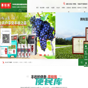生根菌剂