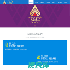 云南傣药有限公司