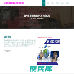 云南忠素国际货运代理有限公司