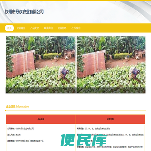 钦州市丹欢农业有限公司