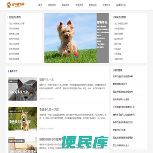 比特宠物吧