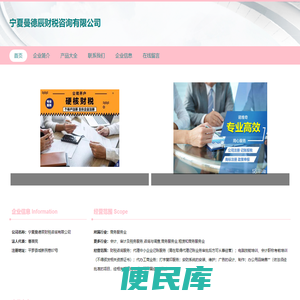 财税咨询服务