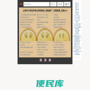 上海SEO优化外包公司玢锐云