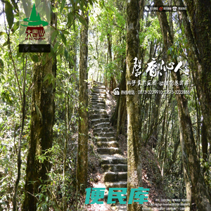 云南红河屏边大围山国家公园