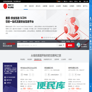DNS110域名频道