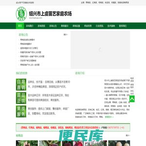 我们只有正宗果苗