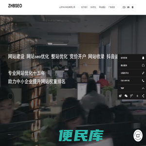 专业seo优化