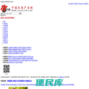 中国红枣产业网