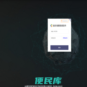数字消费系统软件