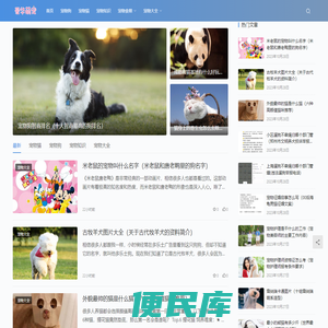 爱华萌宠