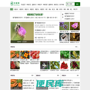 优蜜蜂