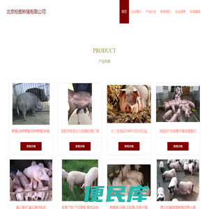 北京柏雅种猪有限公司