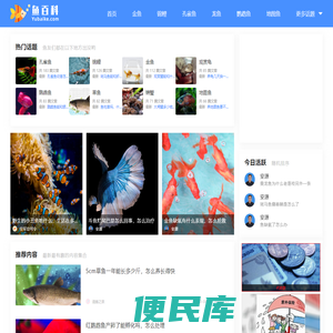 鱼百科