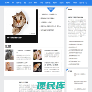 英国短毛猫