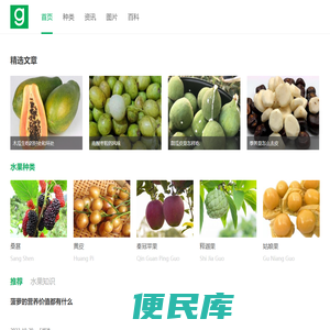 各种水果知识科普大全