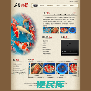 江西锦鲤养殖，江西锦鲤批发零售