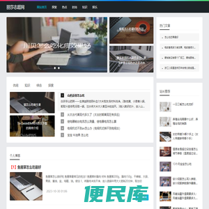 丽莎志超网