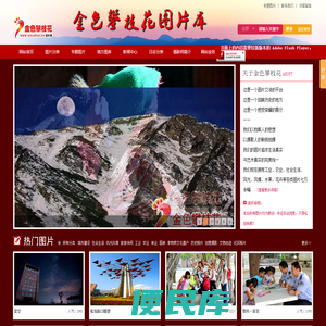 金色攀枝花图片库