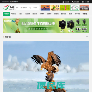 鸟网首页