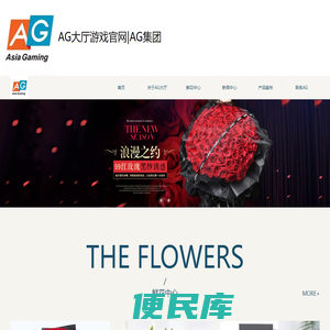 云南网站设计
