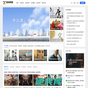 欣依网络
