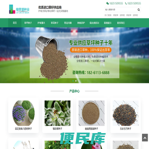 进口草坪种子批发供应商