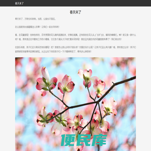 手机app下载