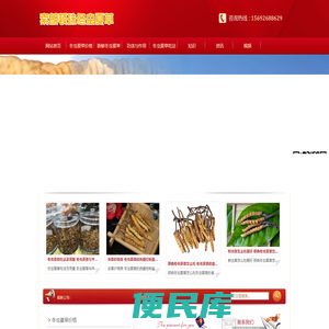 冬虫夏草的功效与作用及食用方法