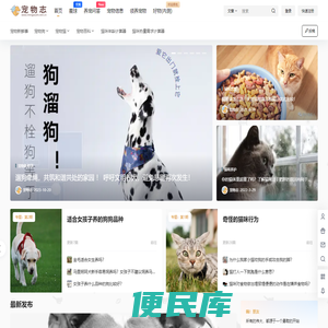 宠物志
