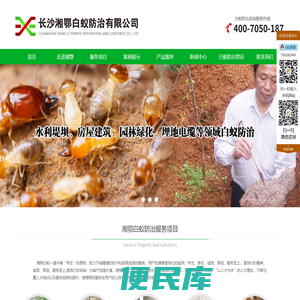 长沙白蚁防治