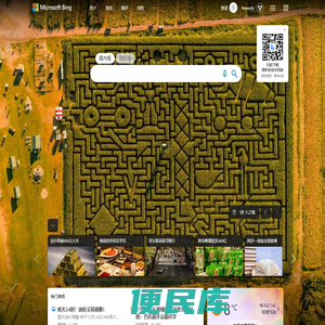 必应