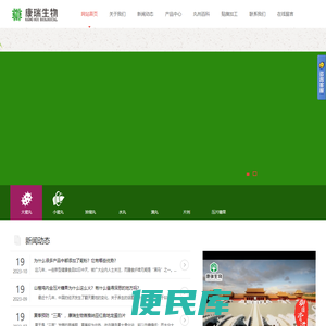 丸剂加工