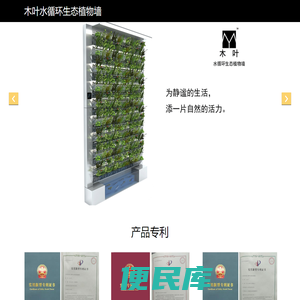 水培植物墙