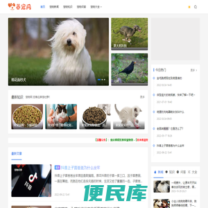宠物网