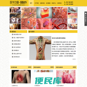 医学动画