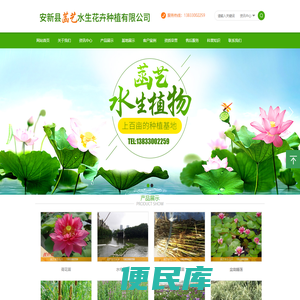 安新县菡艺水生花卉种植有限公司