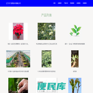 辽宁兴飞莱苗木有限公司