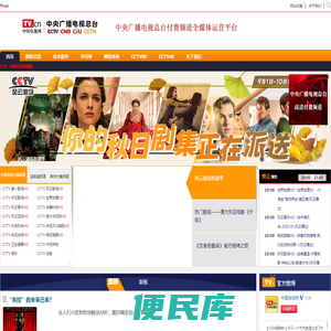 中国电视网