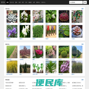 花卉
